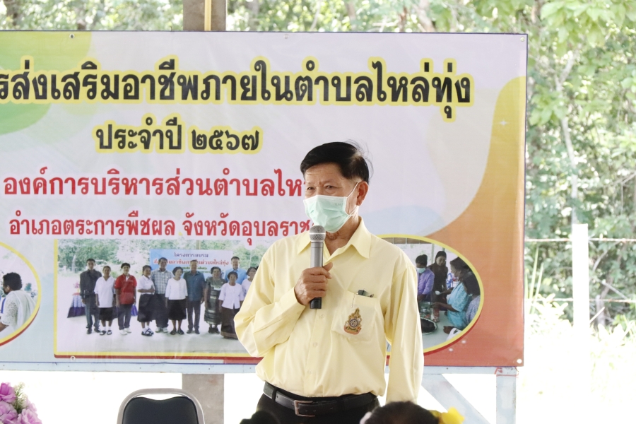 โครงการส่งเสริมอาชีพผู้สูงอายุภายในตำบลไหล่ทุ่ง